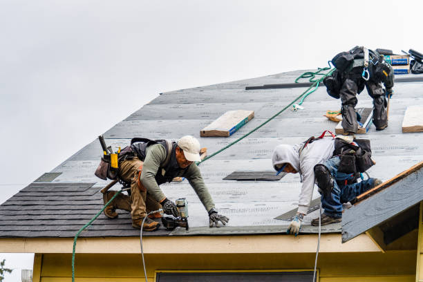 Professional Storm Damage Roof Repair technician working in Wayland, NY